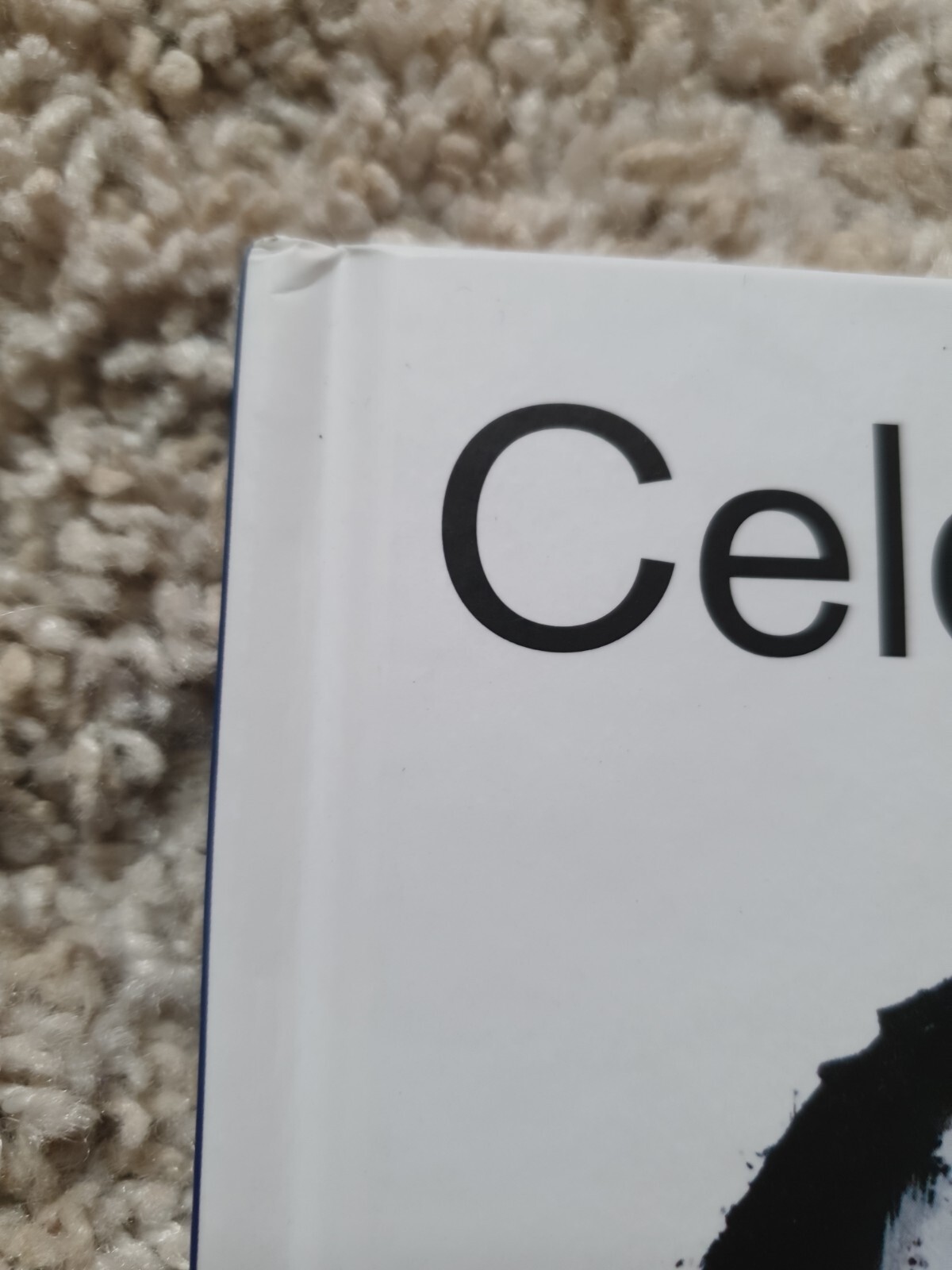 Thumbnail - Eulenglück Von Celestino Piatti (2013, Gebundene Ausgabe)