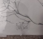 Picture 3 of 3