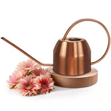 Rose Gold Metal Watering Can Indoor Plants 40 oz, Stainless Steel Long Spout ...