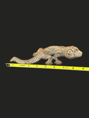 Vintage rustikale Gusseisen Gecko Eidechse Figur Türstopper Briefbeschwerer Wandkunst 9 Zoll L - Bild 11 von 11