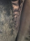 Foto 11 di 11