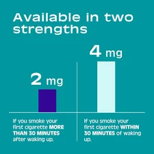 2 mg Mini Nicotine Lozenges to Help Quit Smoking - Mint Flavor Stop Smoking Aid,