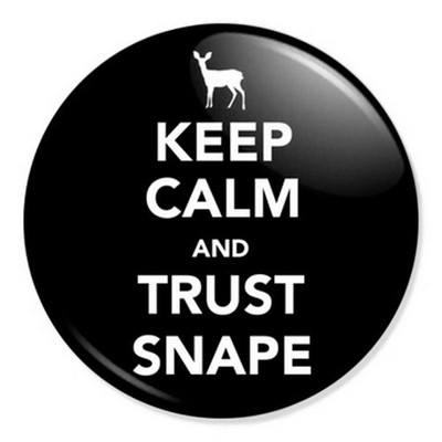 HARRY POTTER 25mm button badges voldemort hogwarts ron hermione death eater
