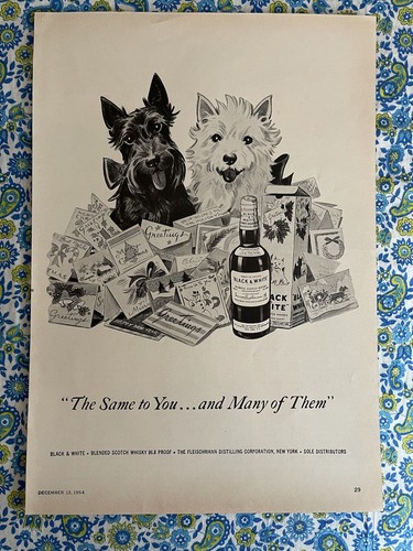 Vintage 1954 Black & White Scotch Print Ad Scottie Terrier Westie Dogs