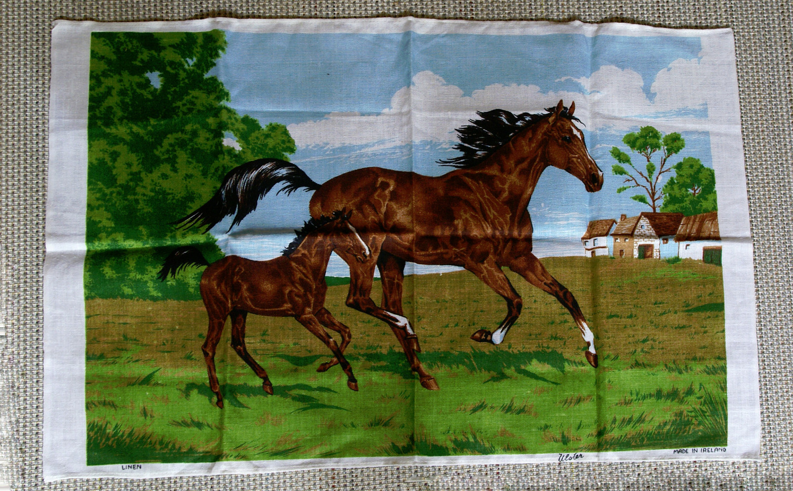 Petite nappe en lin et grand torchon de cuisine à motif chevaux pour table carrée