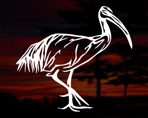 Ibis Vinyl Decal - Quirky Design for Bin Chicken Lovers - Silhouette Sticker - Picture 18 of 41