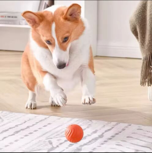 Pet Toy Ball Automatic Moving Dog Toy Ball Smart USB Jumping Rotating Interactiv - Picture 3 of 9