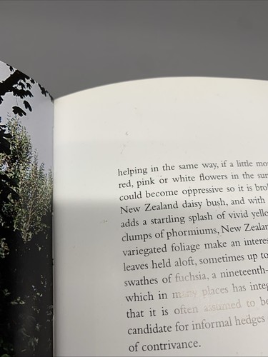 A Year At Churchill 2003 History Of Churchill House In Ireland By William Laffan - Bild 14 von 19