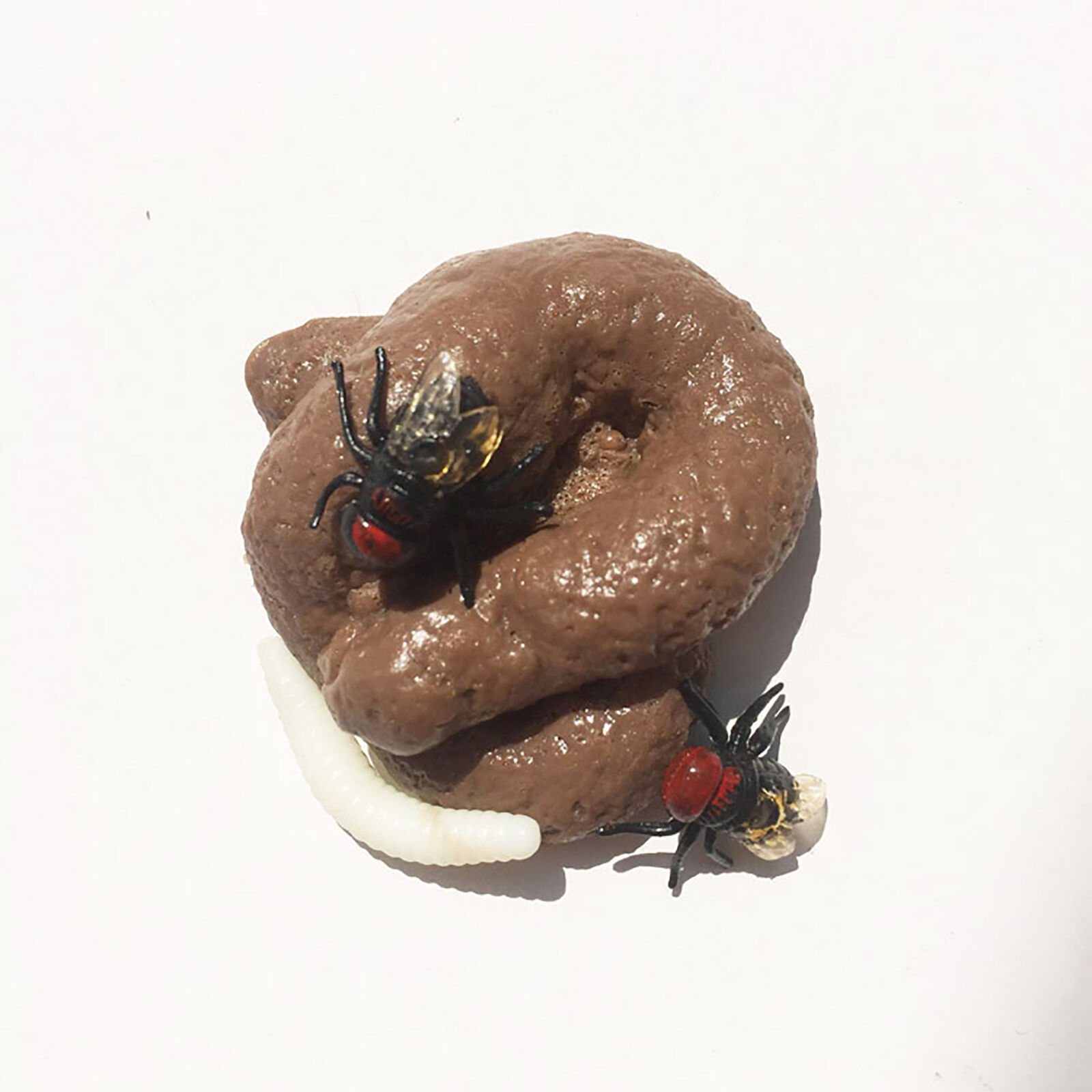 Picture 3 of 12