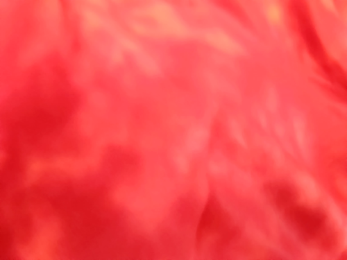 New Red tone in tone fleece 64" x 60" fleece - Picture 2 of 2