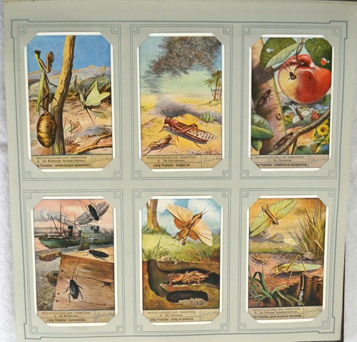 CHROMOS LIEBIG LITHOGRAPH ADVERTISING CARDS 50 BOUND COLLECTIONS 300 CARDS 19TH - Picture 10 of 12
