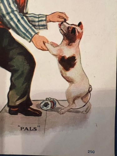 Jack Russell Terrier Antique Post Card - UDB - 1906 “Pals” - Picture 3 of 7