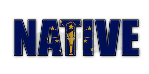 Indiana Native Flag Stickers Illinois Flag Decals Indiana Flag Stickers - Picture 2 of 4