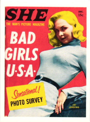 Pressa per lavello cucina 1992 PIN-UP TASCABILI 1-36 / MAGNETI FRIGORIFERO / magnete pick - Foto 14 di 31