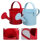  2 Pcs Garden Watering Shower Kettle for Flowers Small Can Children Plants Kids