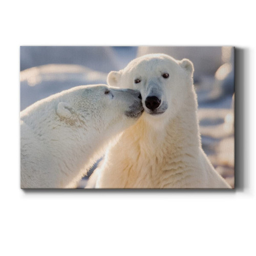 Animal Canvas Wall Art for Living Room Bathroom Bedroom Kitchen, Polar Bear K...
