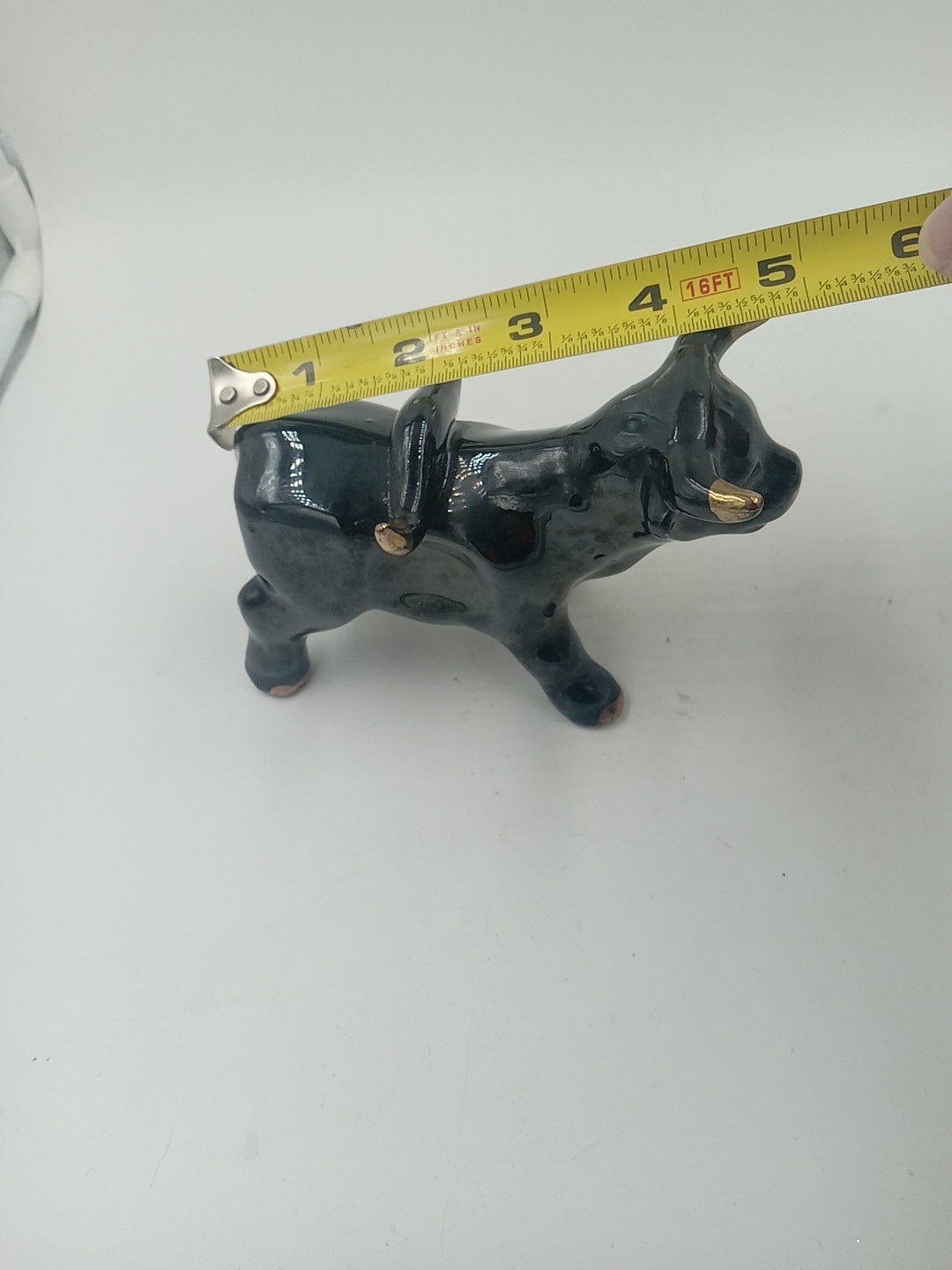 Picture 10 of 12