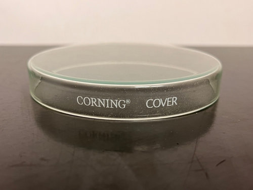 Corning Pyrex Petri Dishes 100x20mm Anumbra Box of 12 NEW NOS - Picture 2 of 6