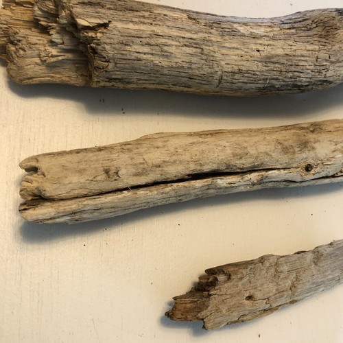 Nueva Inglaterra Playa Madera Natural a la Deriva 3 Piezas Madera Artesanía Playa Océano - Imagen 4 de 4