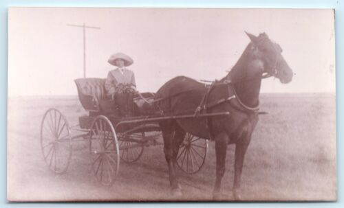 FOTO ALBERTA Canadá carruaje de caballos dama karate mujer en sombrero Mildred Graham - Imagen 1 de 2