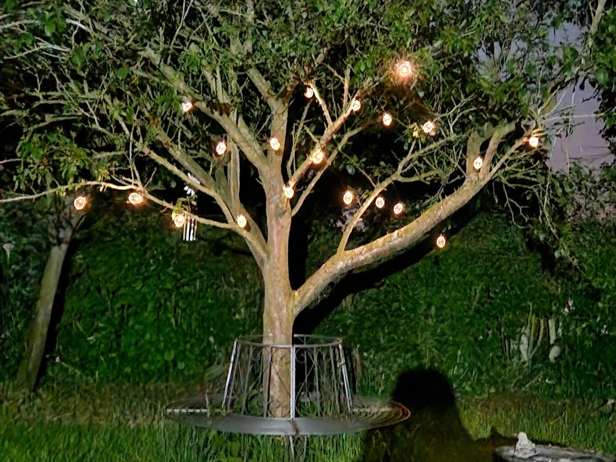 Ebay solar sale lights string