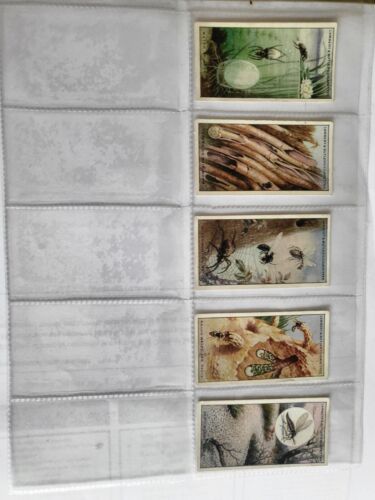 LAMBERT AND BUTLER WONDERS OF NATURE - Full set of 25 Cigarette Cards