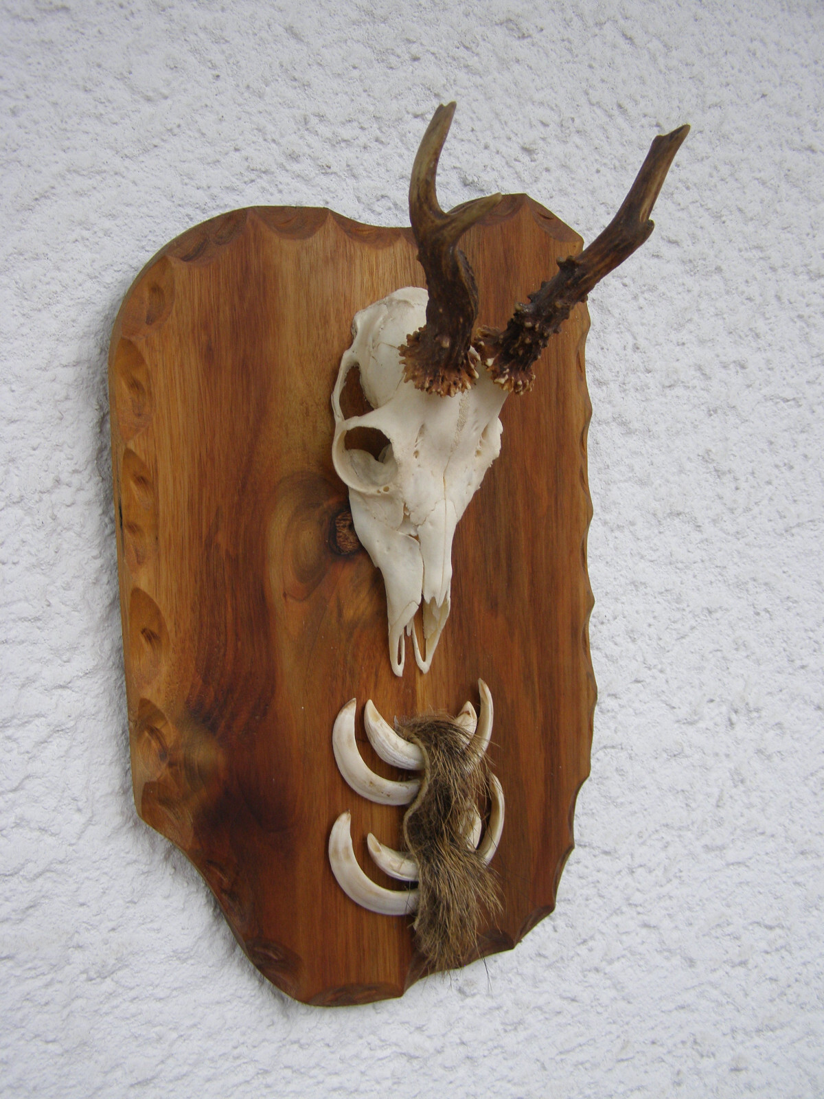 Bild 2 von 2