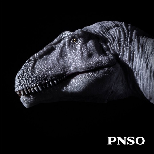 Modellino dinosauro animale preistorico PNSO 69 Meraxes Mungo decorazione da collezione - Foto 14 di 15