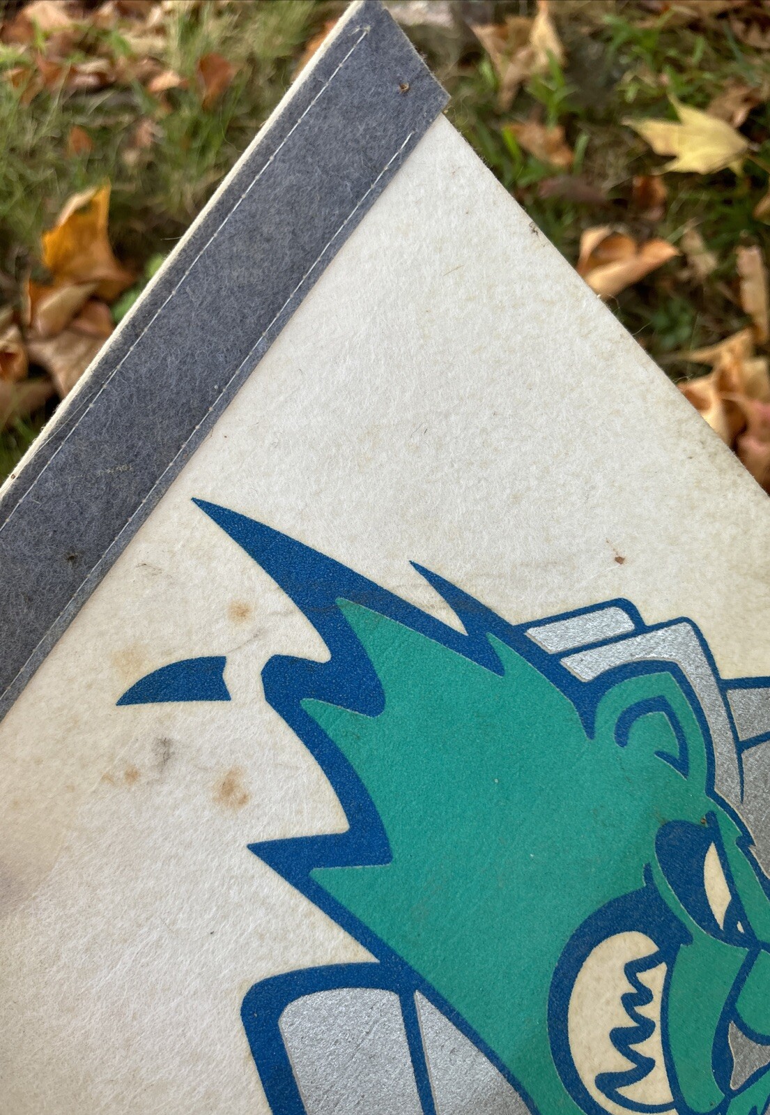 Bild 6 von 15
