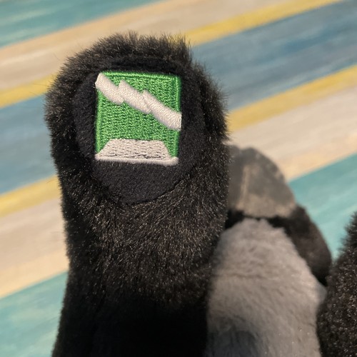 Peluche Warrior Cats Cinderpelt grande ThunderClan gato negro sin etiqueta Tush - Imagen 12 de 16