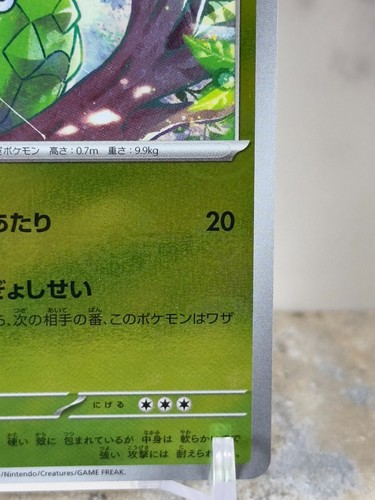Metapod (Poke Ball Pattern) - SV2a: Pokemon Card 151 (SV2a) Japanese - Picture 5 of 10
