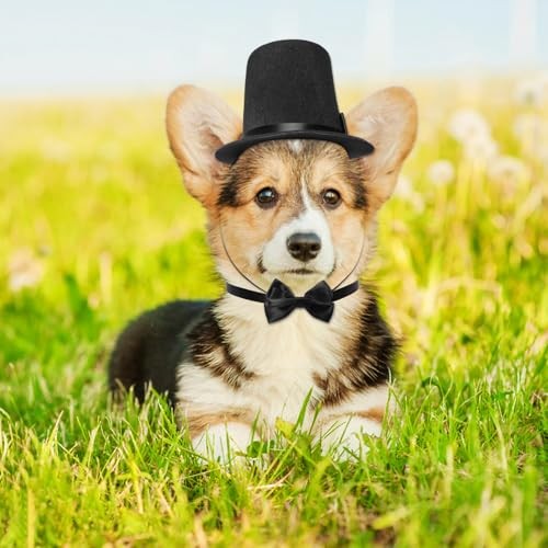 Conjunto de accesorios formales para mascotas 2 piezas disfraz de perro sombrero de copa con esmoquin formal para mascotas  - Imagen 6 de 7