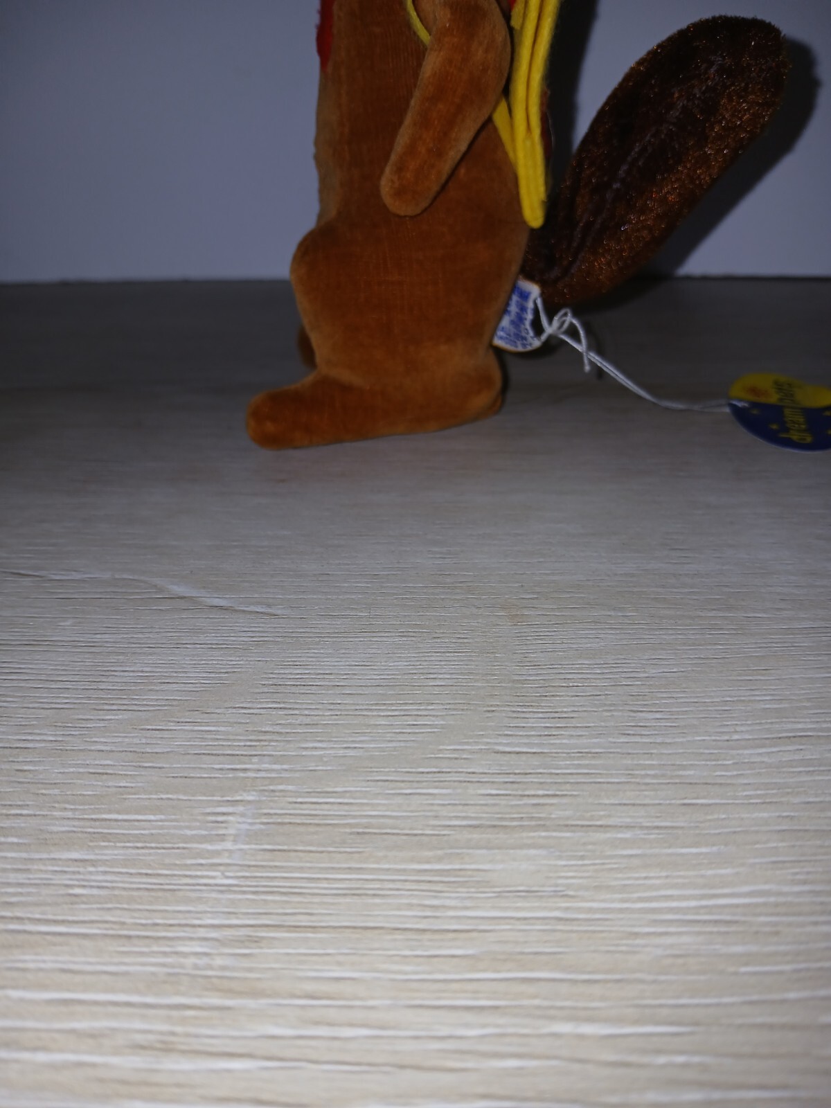 Bild 24 von 24