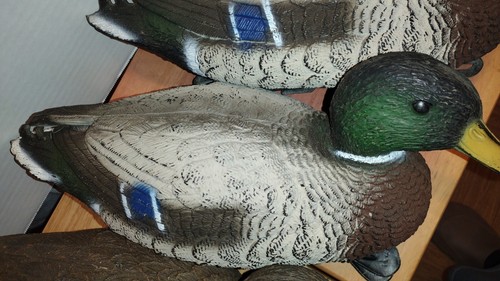 4 Floating Ducks Mallard Decoy Sport Made in Italy For Carry Lite - Picture 18 of 24