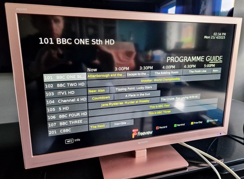 Sharp 24" Rose Gold TV/DVD Combi - Freeview HD - Retro Gaming / Camper / Caravan - Picture 21 of 24