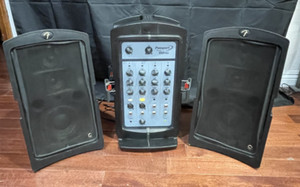 Fender 150 Passport | eBay