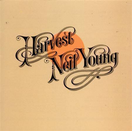 Neil Young Bumper Sticker! "Down By The River" Crazy Horse - Foto 7