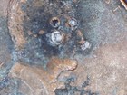 Bild 7 von 10