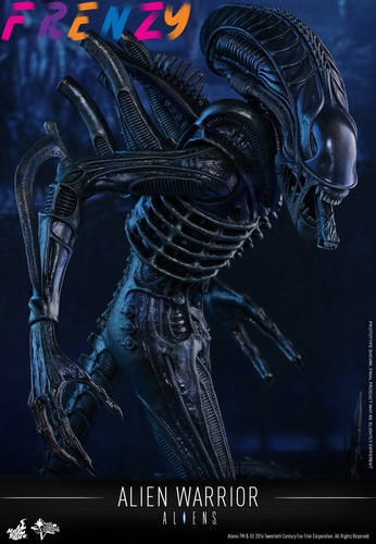 New Hot Toys 1/6 MMS354 Aliens Alien Warrior - Picture 10 of 17