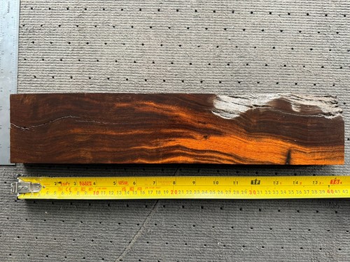 Desert Ironwood #7