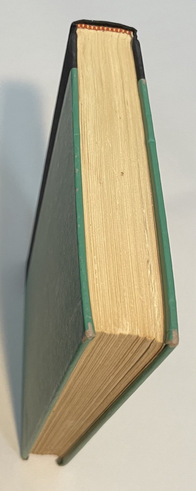 Foto 9 di 11