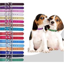 Colorful 16-Pack Leather Collars for Large Breed Puppies - ID  Leash Included