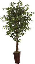 5931 6ft. Ficus Tree W/ Bamboo Planter,Green Three Stout Trunks
