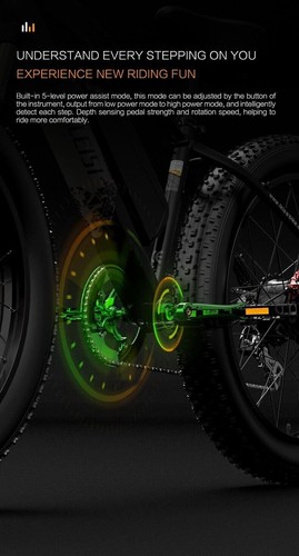 LANKELEISI MG740PLUS 2000W Electric Bicycle 48V20Ah Mountain E-bike 26" Fat Tire - Picture 8 of 20