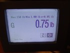 Bild 7 von 7