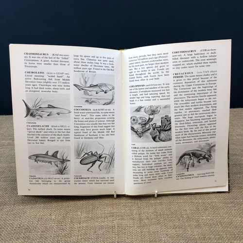 VINTAGE DINOSAURIER DER ERDE COLLINS JOHN RAYMOND GEBUNDENES BUCH - Bild 12 von 14