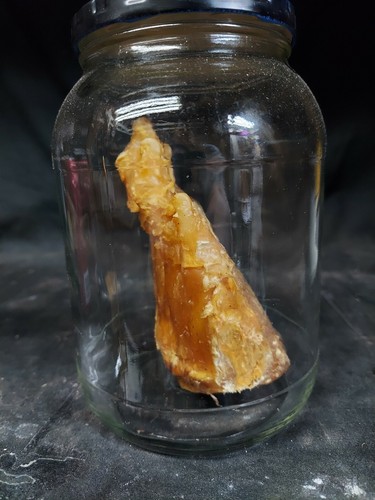 Mummified thief Hand in Mason jar,Sideshow Gaff,Oddity,Prop,Macabre,100% organic - Picture 3 of 7