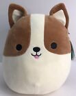 2021 Orignal Squishmallow Plush Toy Shiba Inu Dog Reginald Kellytoy 10"