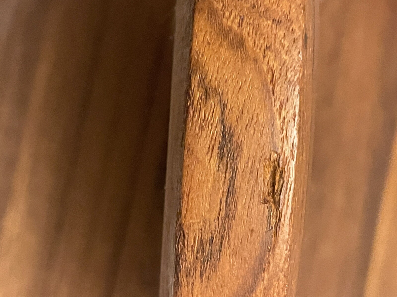 Picture 14 of 20