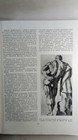 Bild 7 von 24